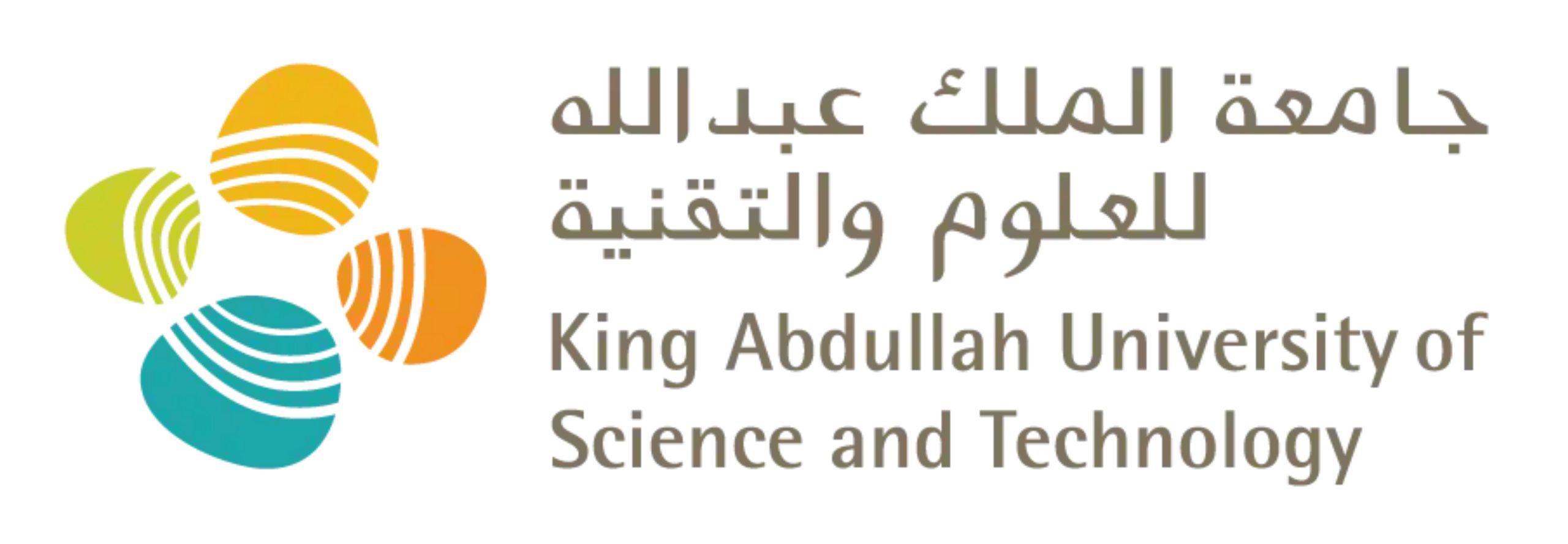 King Abdullah University of Science and Technology (KAUST) - Tailoring Microporous Polymers for Flow Photoredox Catalysis