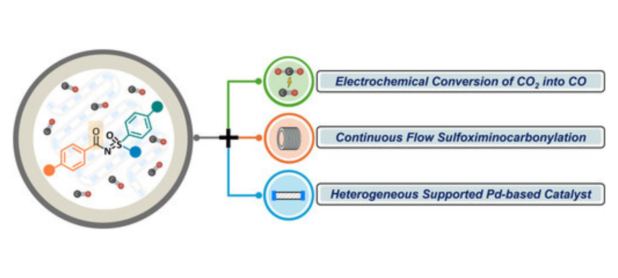 N-aroylation of sulfoximines via continuous flow