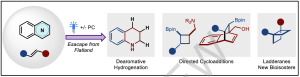 Accessing Three-Dimensional Medicinally Relevant Scaffolds via Photochemical Dearomatization and Cycloadditions