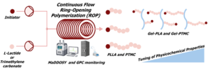 Designing Amphiphilic Gelatin Hydrogels through Control of Polyester and Polycarbonate Graft Length